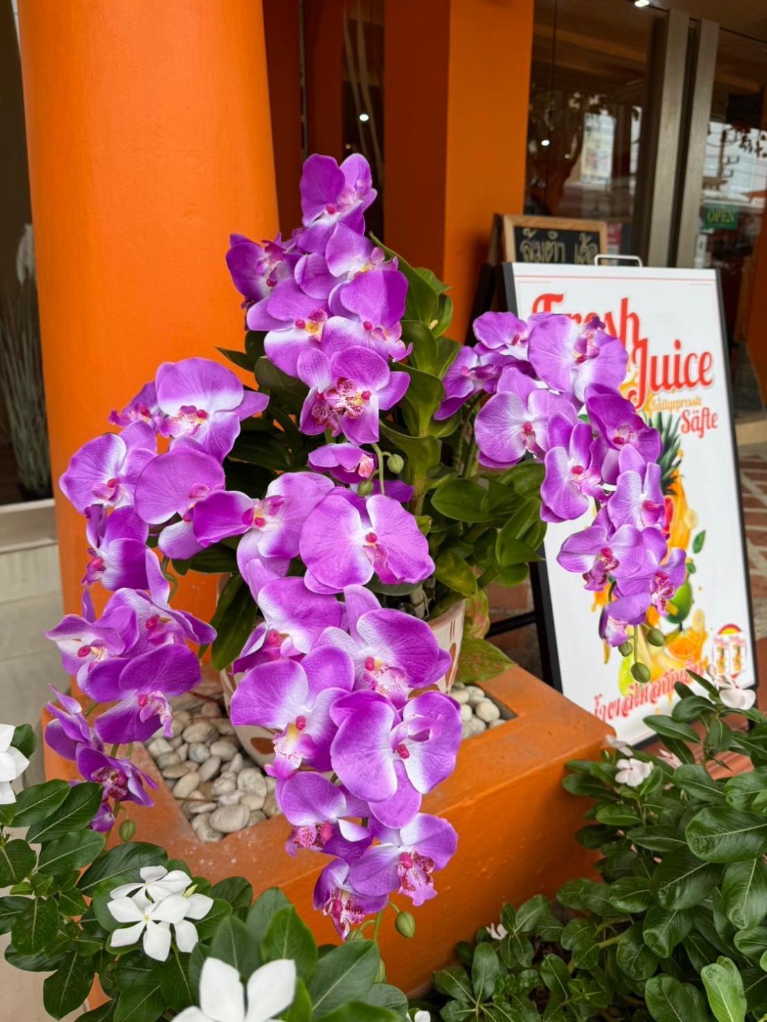 Venice Hotel Hua Hin Exterior foto